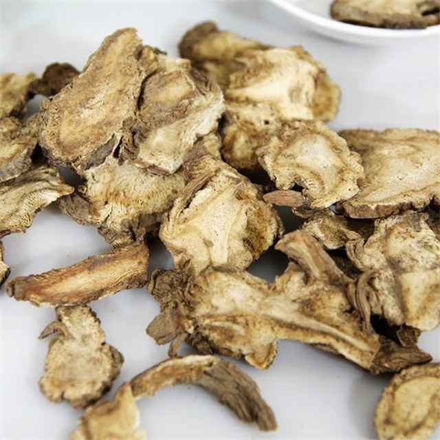 Chino Dong Quai Medicina herbaria Natural Angelica sinensis para beber