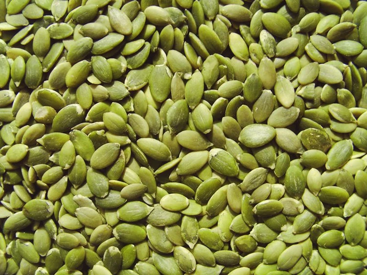 Wholesale/Supplier Vacuum Packaged Pumpkin Seed Kernels AAA Grade