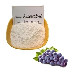 أعشاب بوليغونوم Cuspidatum Giant Knotterant root Extract Resveratrol Powder 501-36-0 98% Resveratrol