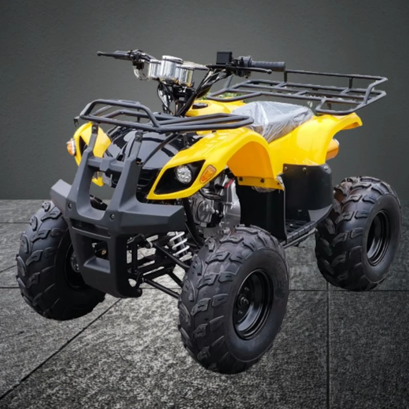 Chinese Professional Petrol Powered 125cc Quad Bike ATV