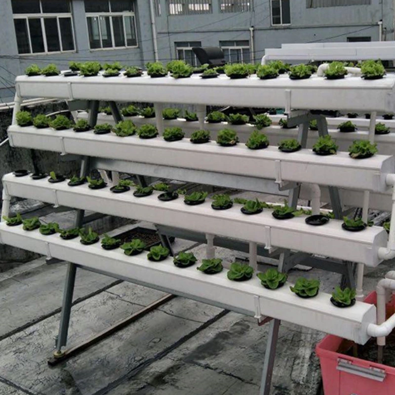 Hydroponics NFT System Fabricante tubo cuadrado de PVC para verduras de hoja Invernadero hidropónico