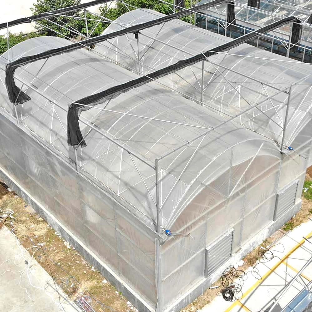 Hot Sale Film Plastic Greenhouse for Vegetable and Flowers Growing