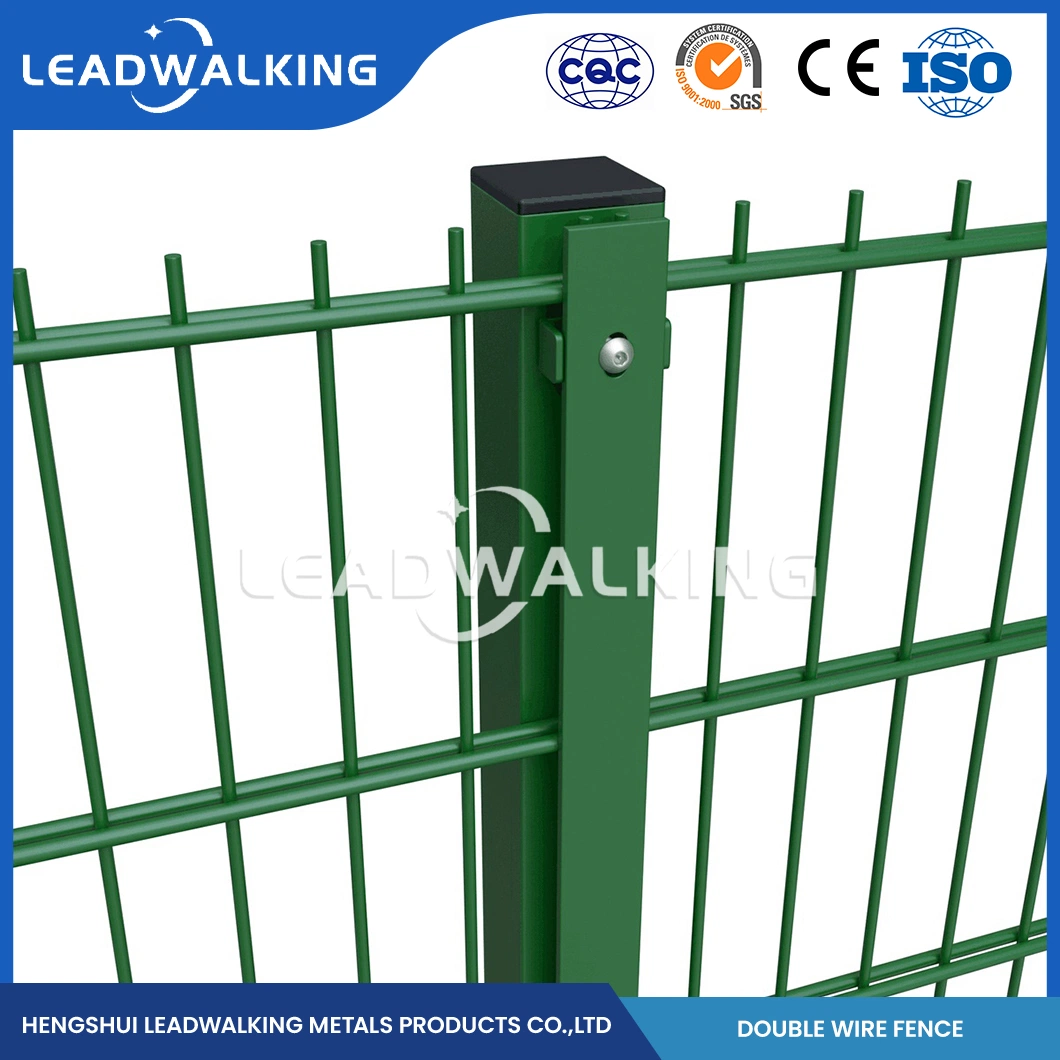 LeadWalking 3D Panel Zaun Hersteller Hochwertige pulverbeschichtete Metall Twin Bar doppelt geschweißter Draht Zaun China Hot-DIP Verzinkung Quadrat doppelt Mesh-Einsatz