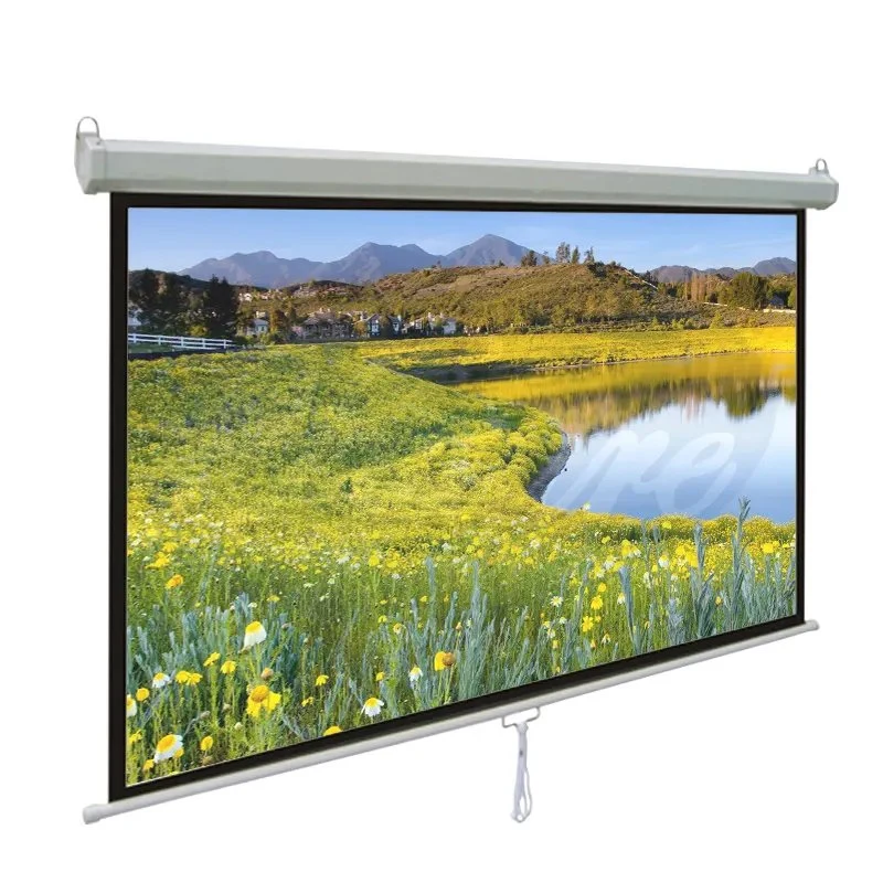 High quality/High cost performance  and Reliantable Manual Pull Down Projector Screen in China