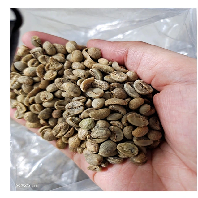 Yunan Green Coffee Bean or Rosted Coffee Distrubitor