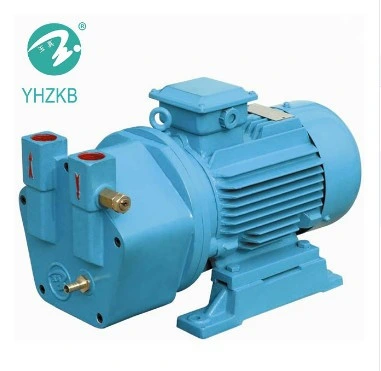 Yhzkb Shanghai Yulong Sterilization Machine / Vacuum Pump for Autoclave