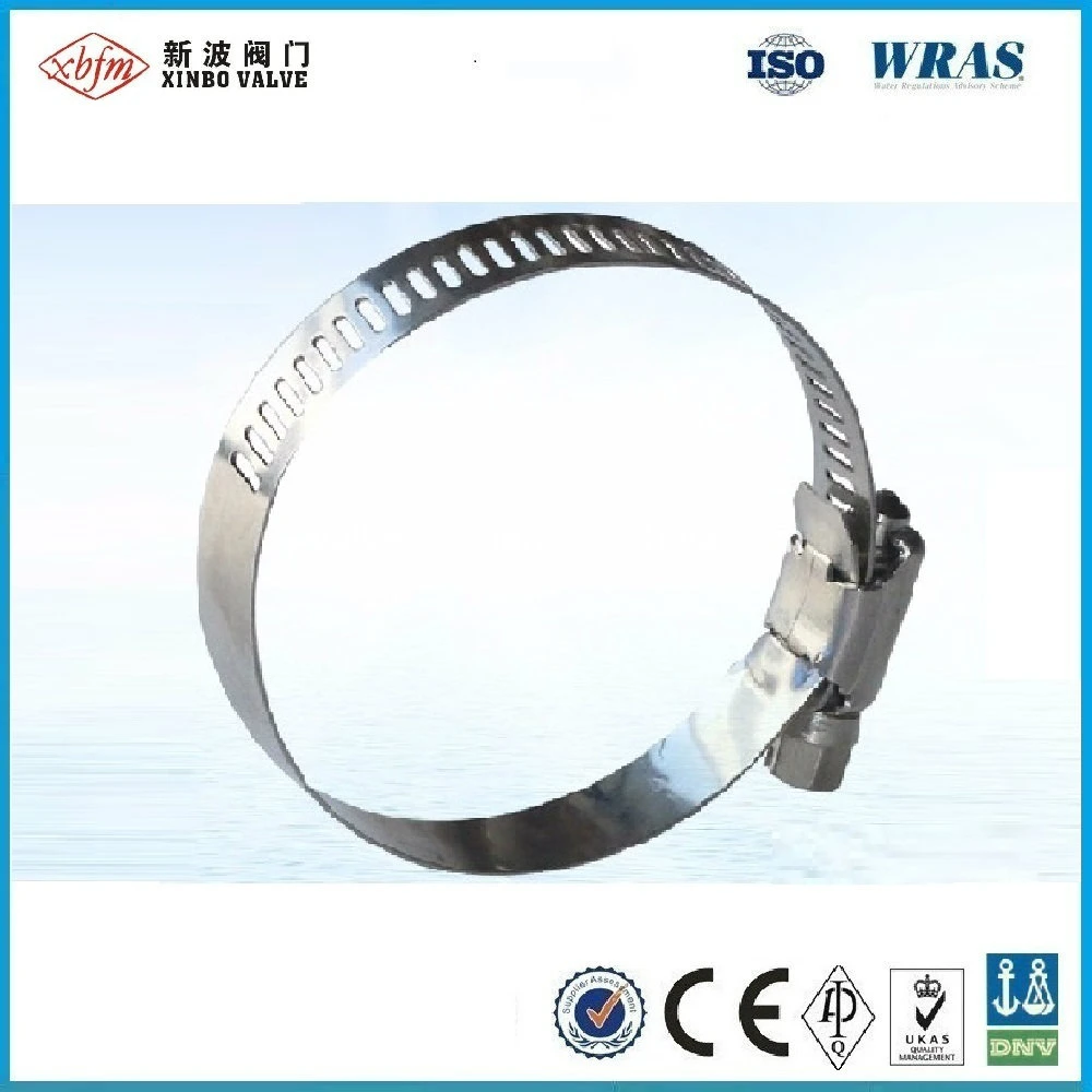 American Type Hose Clamp