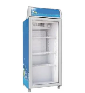 300-600L Supermarket Beverage Display Case Beverage Refrigerated Showcase for Drink (LG-530FM)