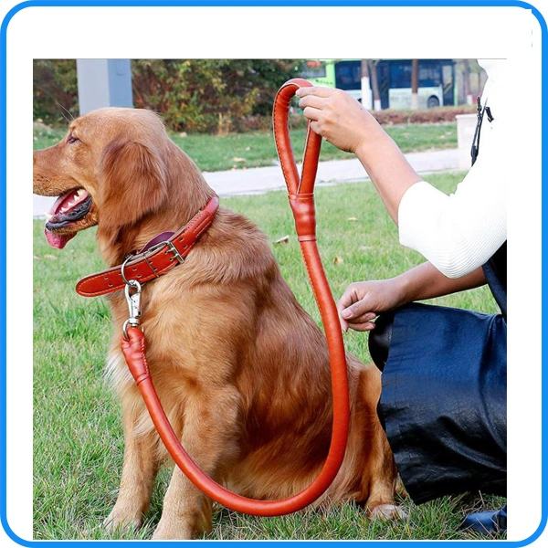 Luxury Pet Supply Large Leather Dog Leash Lead Factory