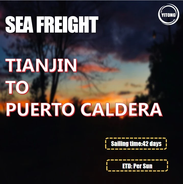 Shipping Container From Shenzhen to Puerto Caldera Costa Rica