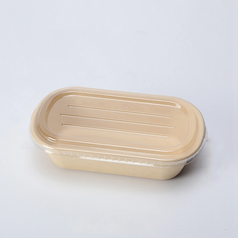 Microwaveable Food Packaging Box Disposable Sugar Cane Pulp Bagasse Food Container Natural Color White Takeaway Fast Food Box with Lid