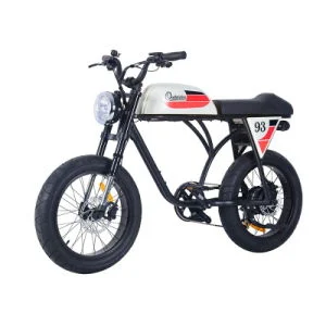 Chinese Wholesale/Supplier Ebike for Europe with En15194 Certificate CE Certification