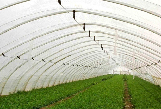 Hot Sale Agriculture Green House Aluminum Mental Equipment Vegetable Plastic High Tunnel Greenhouses Chinese Manufacture