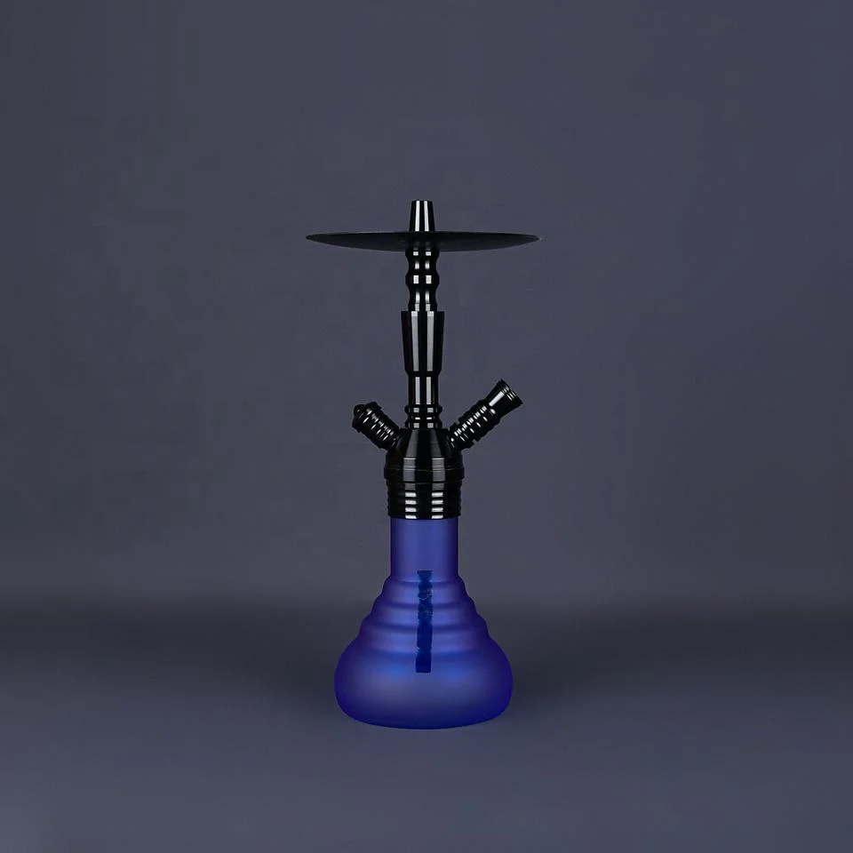 Nueva botella de vidrio de color de aluminio Hookah Heavy Metal Shisha 2 Manguera