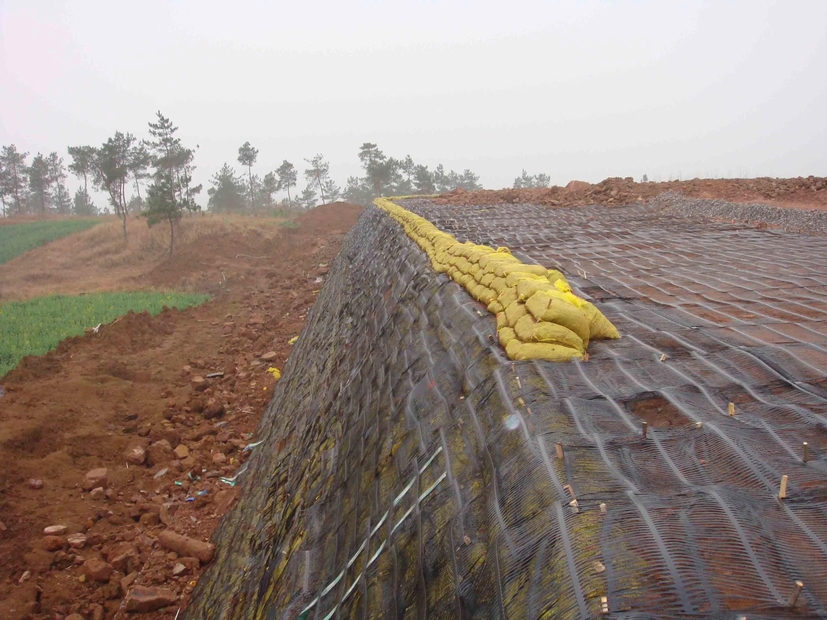 High Tensile Strength Geogrid for Railway Retaining Wall