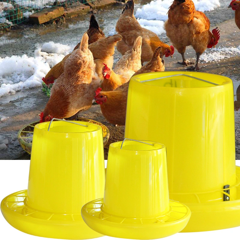 Chicken Feed Bucket Poultry Breeding Chicken Duck Goose Feeder