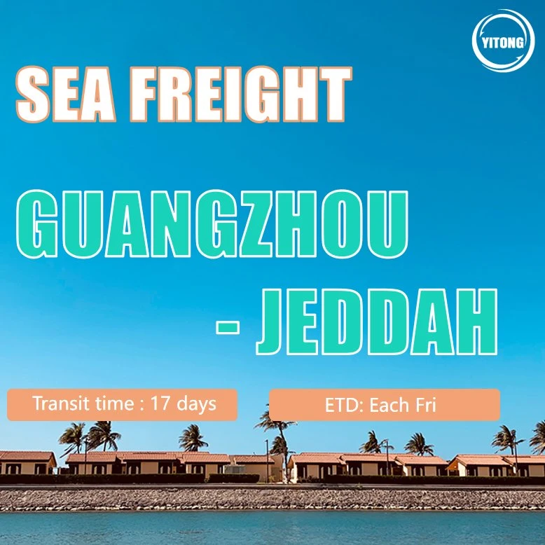 Logística de carga de Mar desde Shanghai a Jeddah