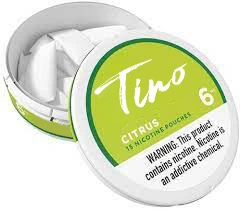 Russia Sweden Snus Velo Tinoo Fresh Taste Ice Cool OEM Design 6mg Nicotine Pouches