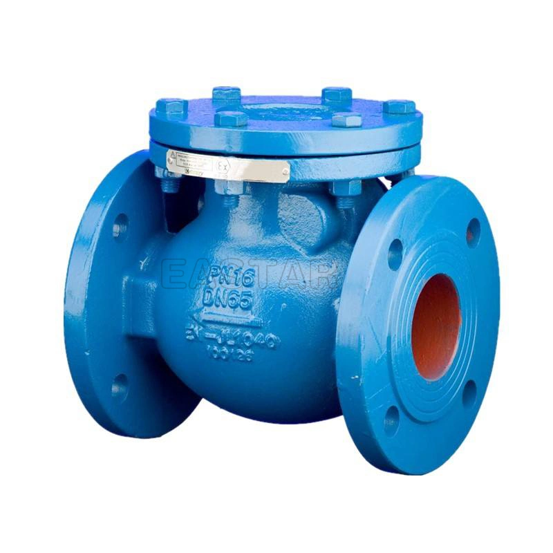 Ductile Iron Ggg50 Flanged End Double Disc Swing Type Check Valve