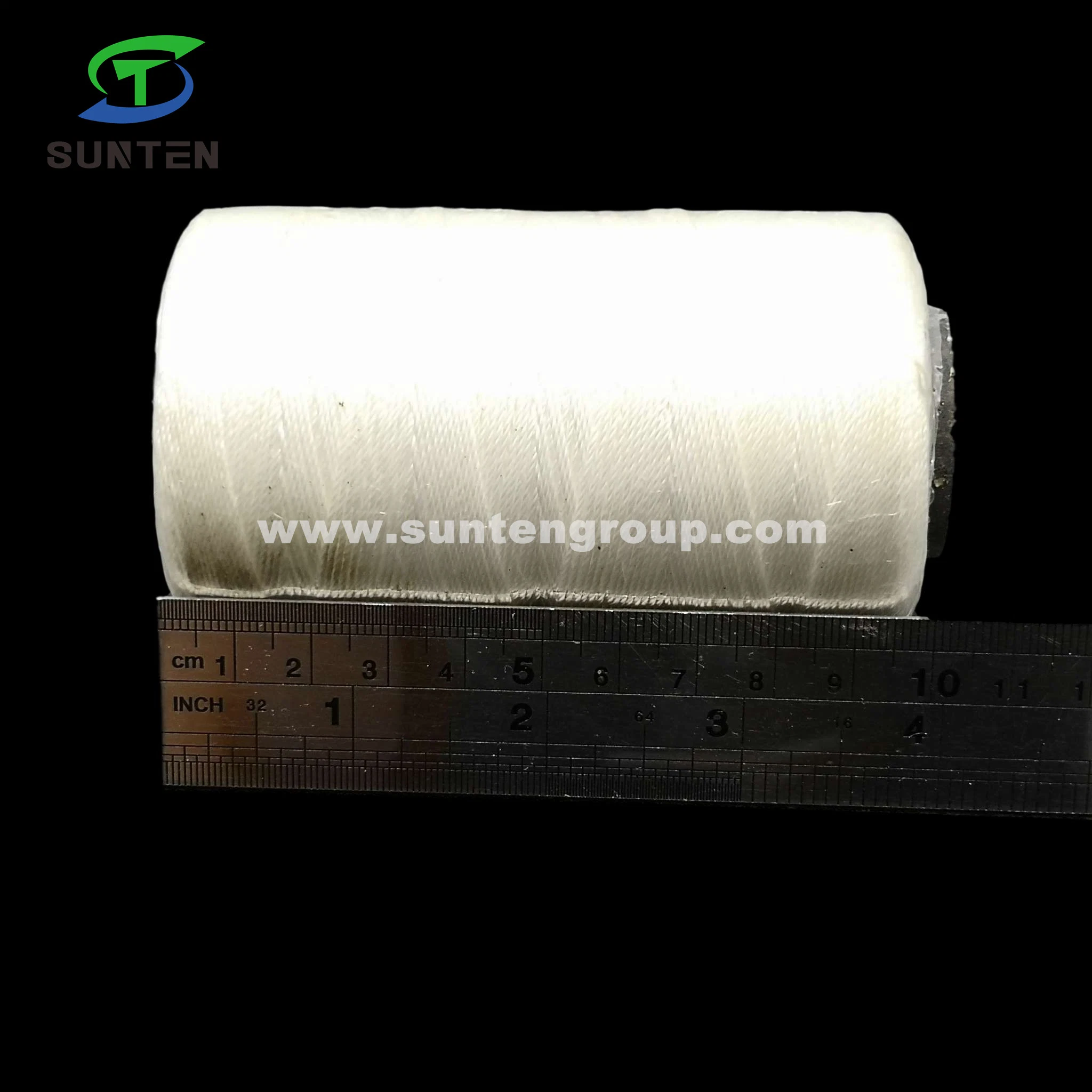 Made in China/Fishing Net Line/EU Standard High Tenacity PA/PE/PP/Polyester/Nylon/Polyethylene Plastic Twisted/Braided