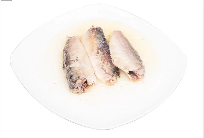 High Quality Sardine Canned Sardine in Oil Canned Seafood to Burkinafaso