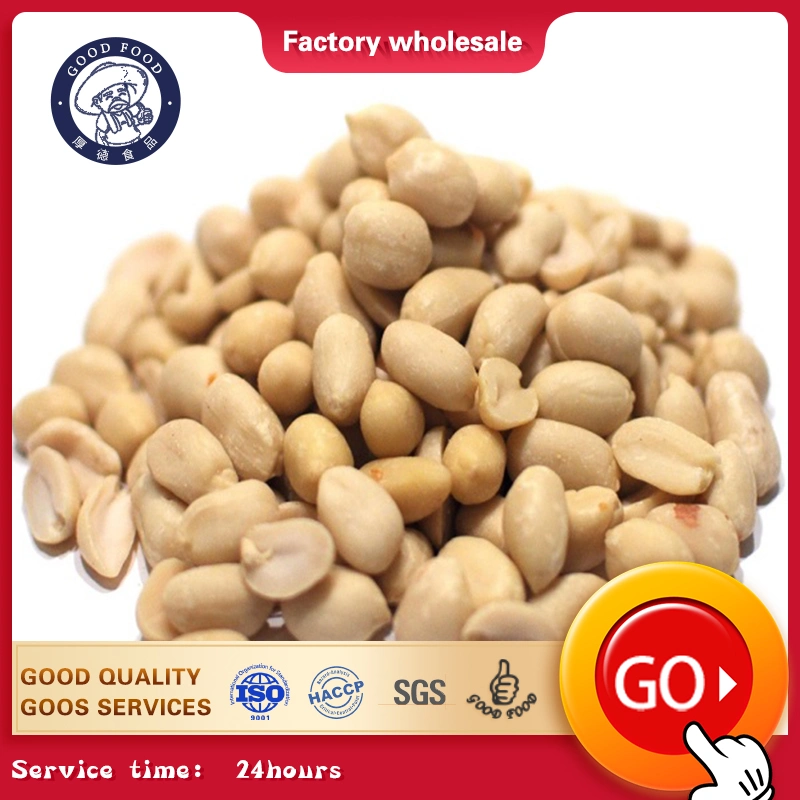 China New Crop Competitive Blanched Peanut Kernel Chinese Factory