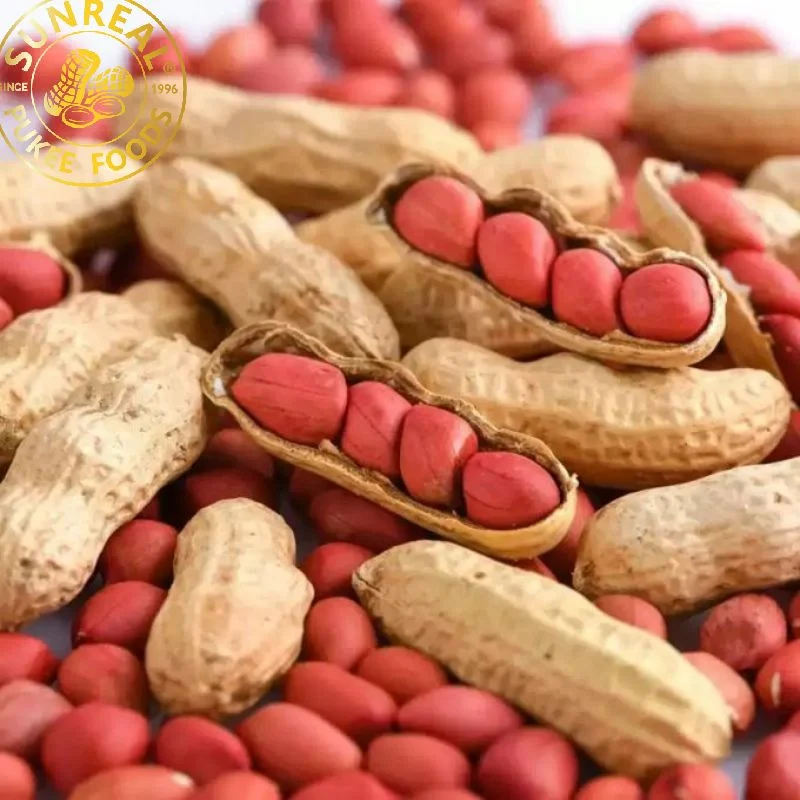 Roasted Red Skin Peanut in Shell/Sunreal/Thin Shell/Easy to Move/Plump Kernel