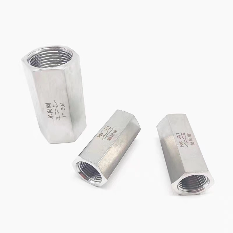 Stainless Steel Female Thread Check Valve High Pressure