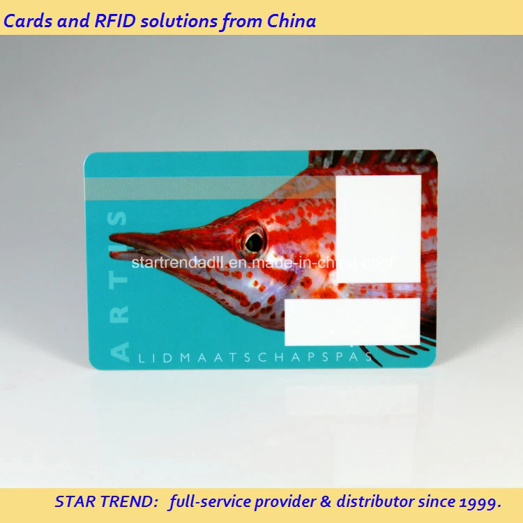 Cheap and Good Quality PVC Business/Promotion/Gift/Loyalty Cards