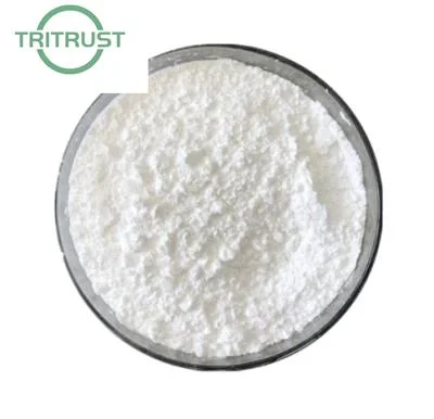 Top Quality Nootropics Nutrition Phenylpiracetam Powder Phenylpiracetam CAS 77472-70-9