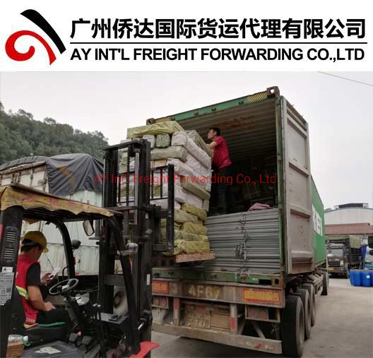 Professional Express Courier Services (DHL, TNT, UPS, FedEx, EMS, SF) From China to All Over World