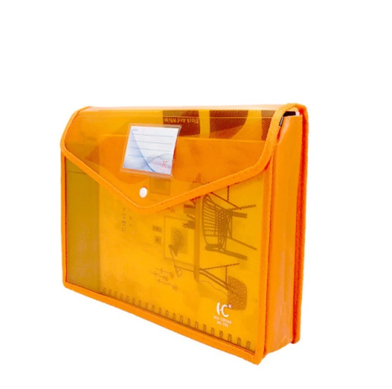 Ordinateur portable en plastique transparent de papeterie A4 étanche avec le bouton de sac de dossier