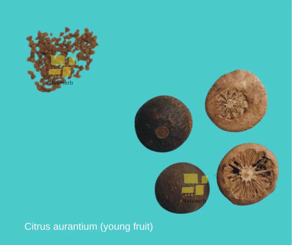 Citrus Aurantium (young fruit) Concentrated Granule Prepared Chinese Herbal Medicine Abdominal Distension