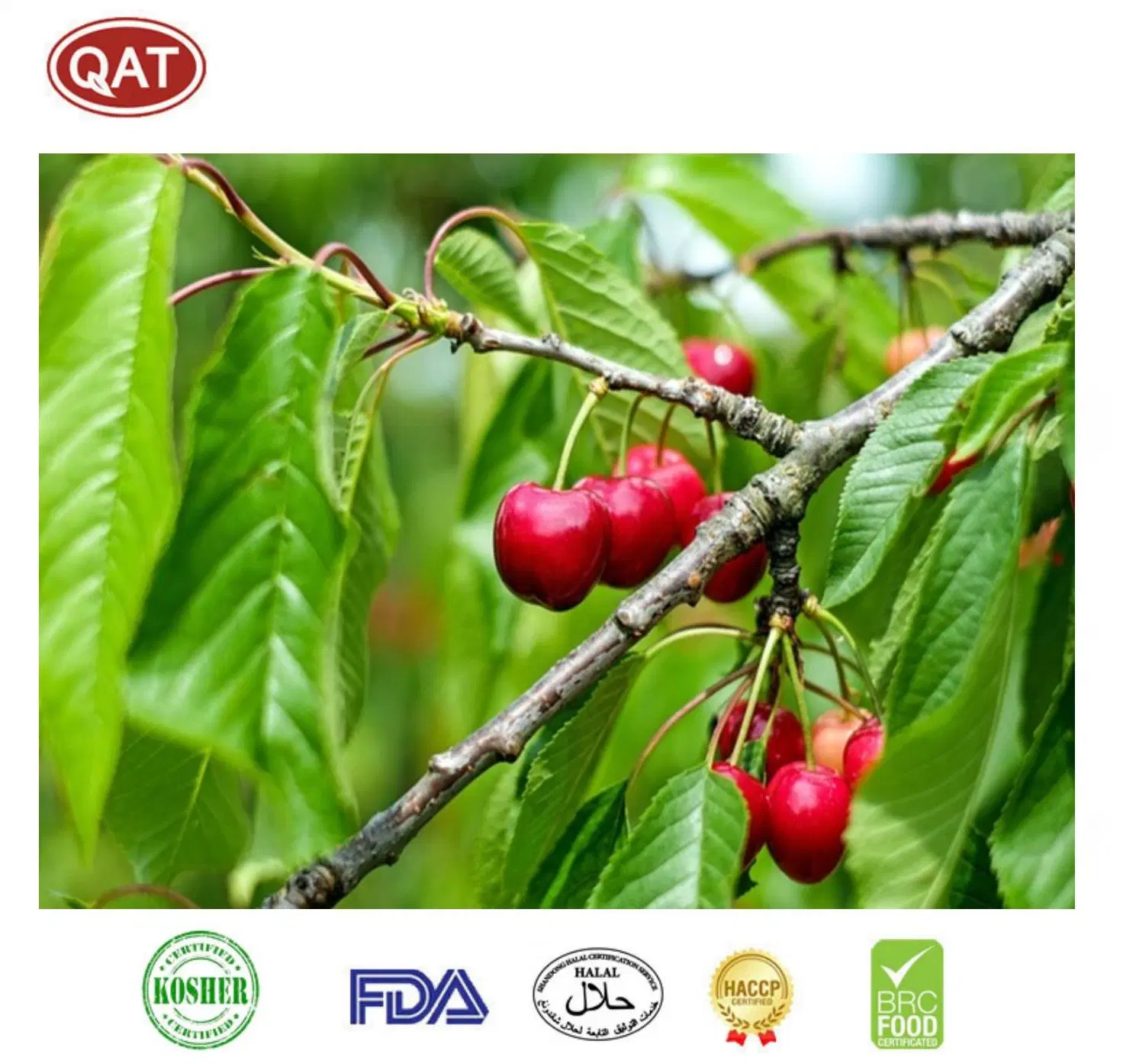 Wholesale/Supplier Bulk Preserved IQF Fruits Top Quality Frozen Sweet Cherry with Brc