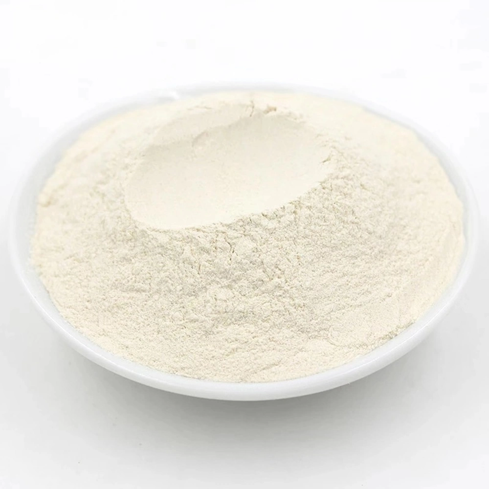 Dehydrated White Onion Powder Manufacturer