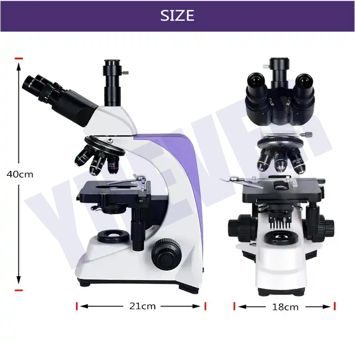 Yuever Medical Professional Lab Equipment Biological Microscope Digital Cheap Price Microscopio Biologico