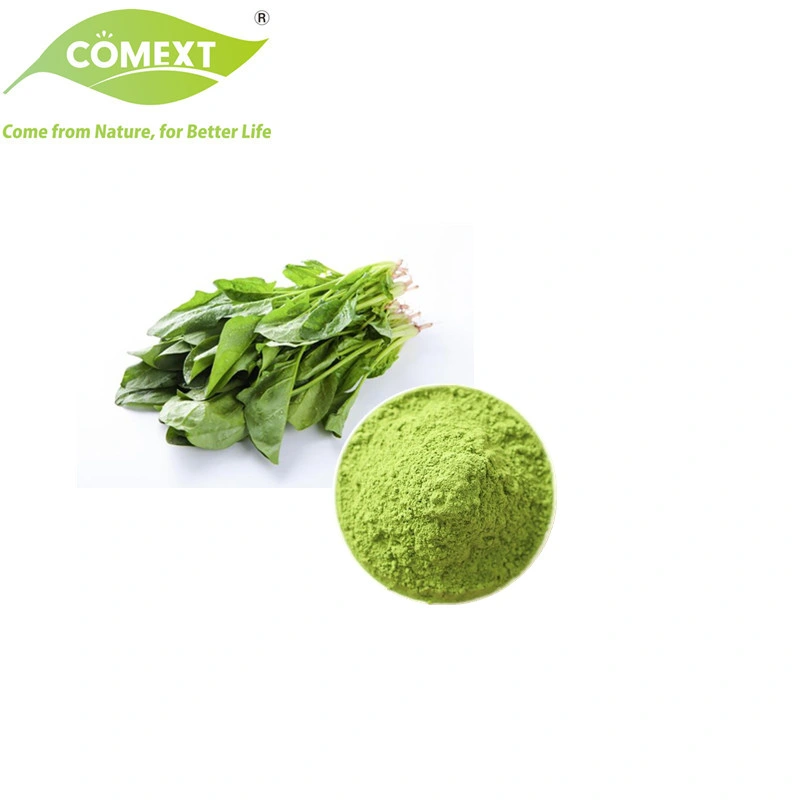 Comext Best Price Free Sample Vegetable Powder High Quality 100% Natural Pure Spinach Powder