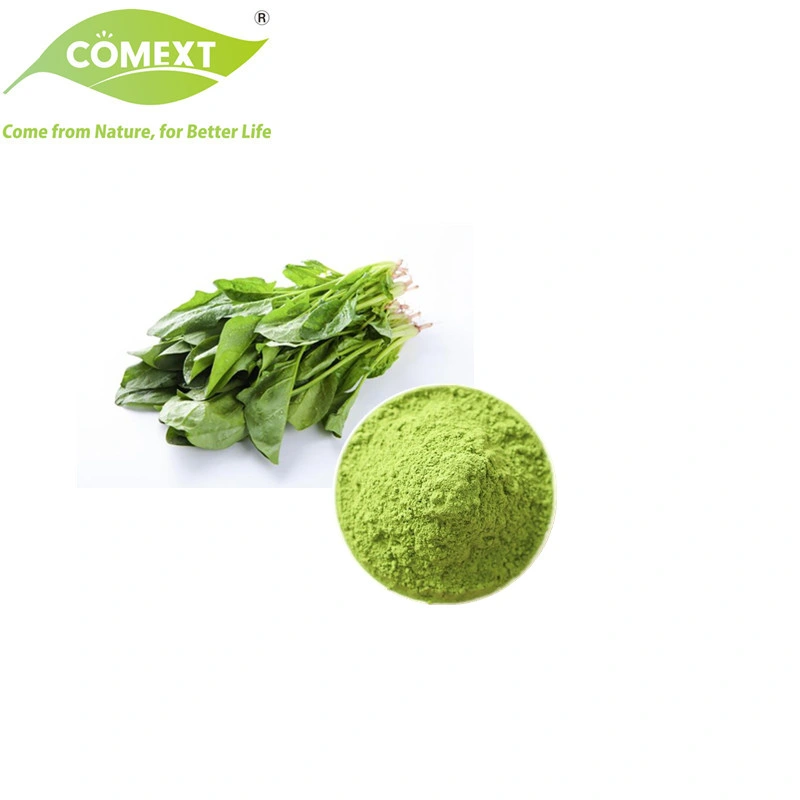 Comext Best Price Free Sample Vegetable Powder High quality/High cost performance 100% Natural Pure Spinach Powder