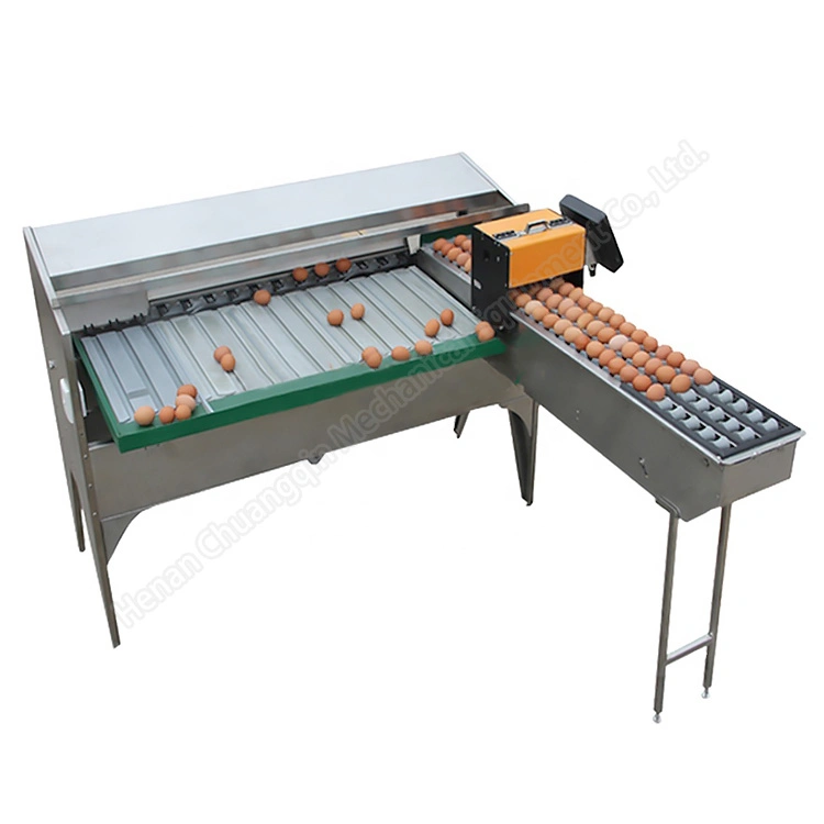 Egg Grading and Washing Machine Egg Sorter Machine Egg Grading Machine Egg Grader Machine Egg Sorting Machine Egg Size Grader Egg Weight Grading Machine