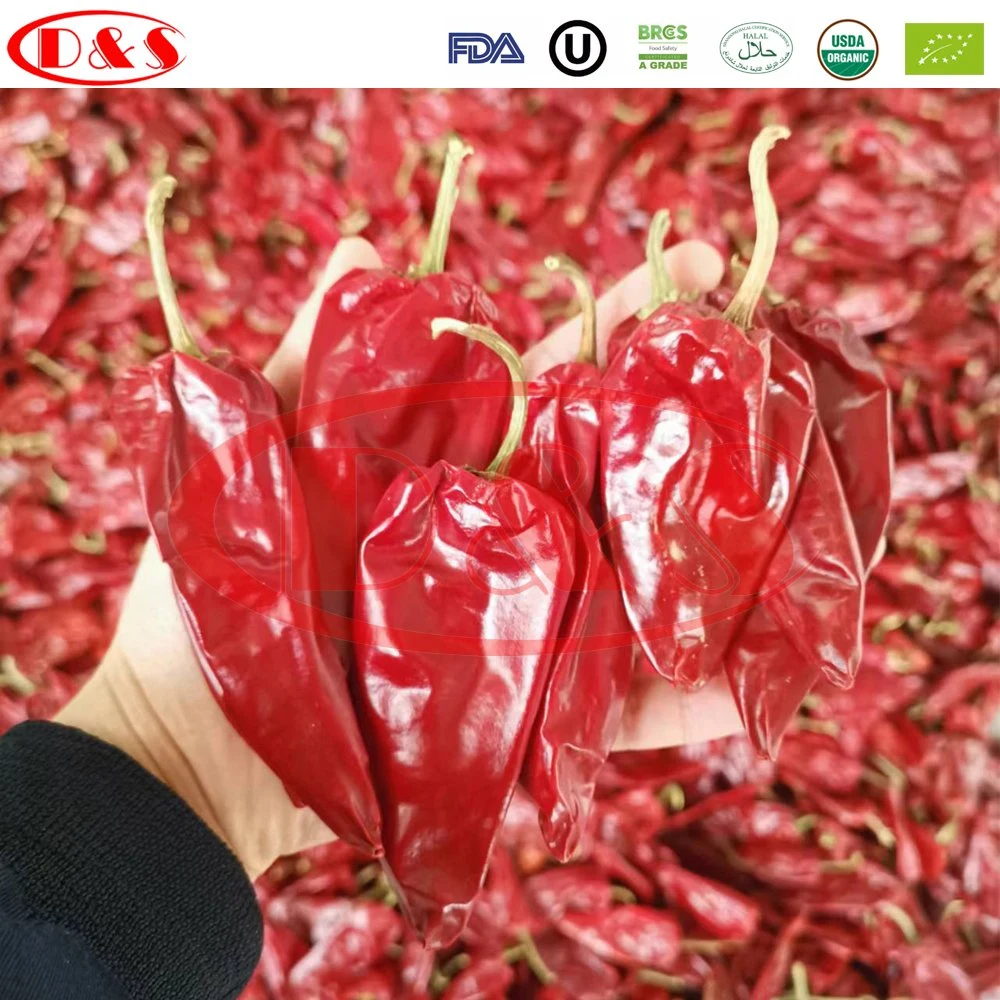 Manufacturer New Crop Hot Chili Pods Dehydrated Beijing Red Chili Dried Yidu Chili Guajillo