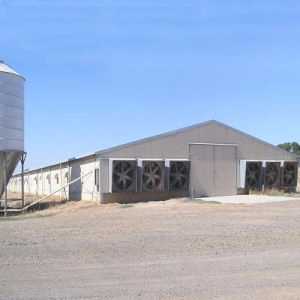 Broiler/Breeder/Layer/Egg Installation Construction Steel Structure Shed Building Hens Cage Automatic Chicken House Poultry Farm with One Stop Solution