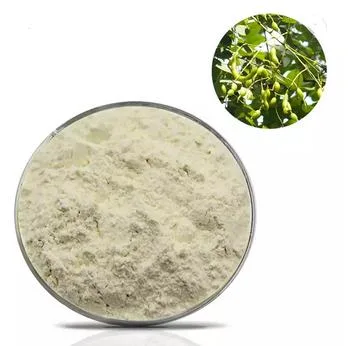 Natural Genista Extract Powder 98% Genistein