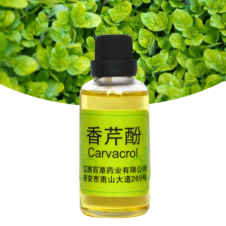 Plant Extract Diffuses Aromatherapy Oil Carvonol Essential Oil
