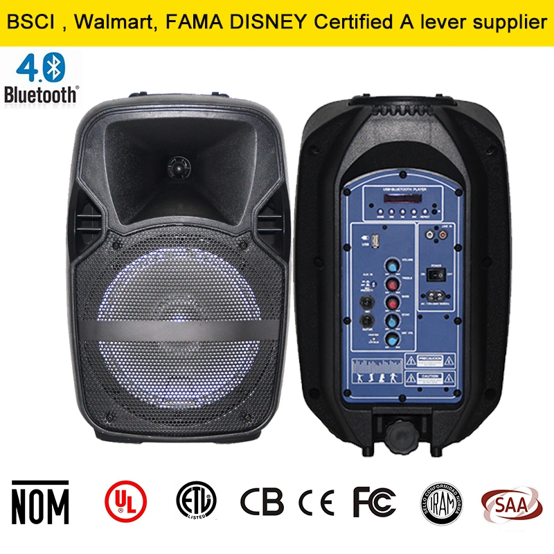 15inch PRO Audio Bluetooth Loudspeaker with Radio Support