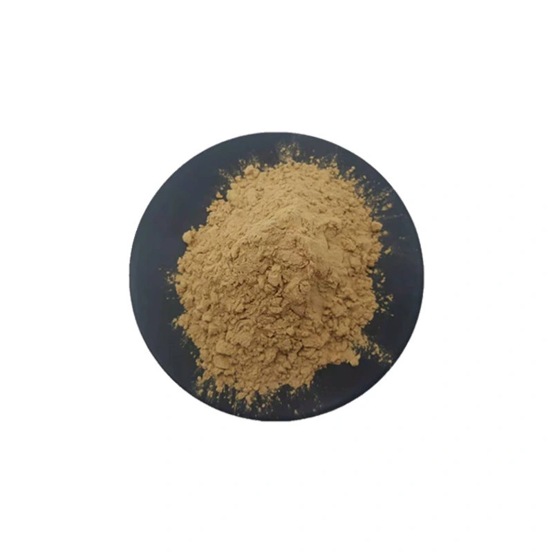 Factory Supply Ashwagandha Root Extract 5% Withanolides for Anti-Inflammatory