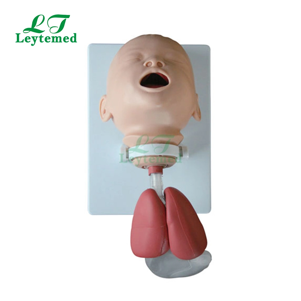 Ltm410b PVC-Intubation Schulungsmodell für Kleinkinder für medizinisches Lernen