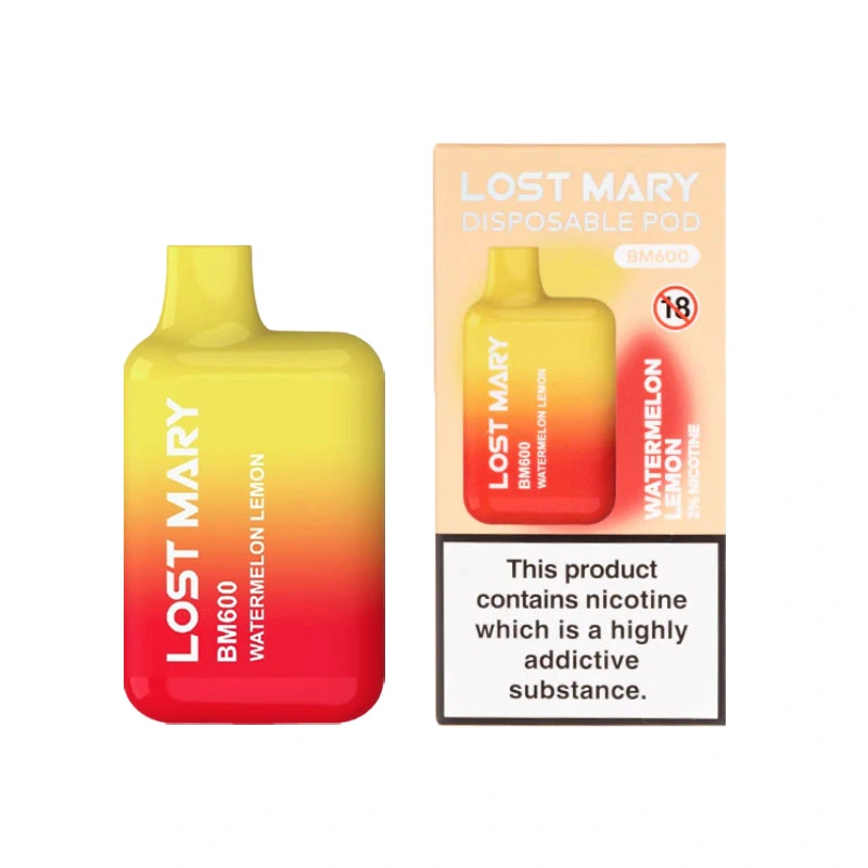 Lost Factroy Wholesale/Supplier Mary Disposable/Chargeable Vape Pod Bm 600|3500 Puffs