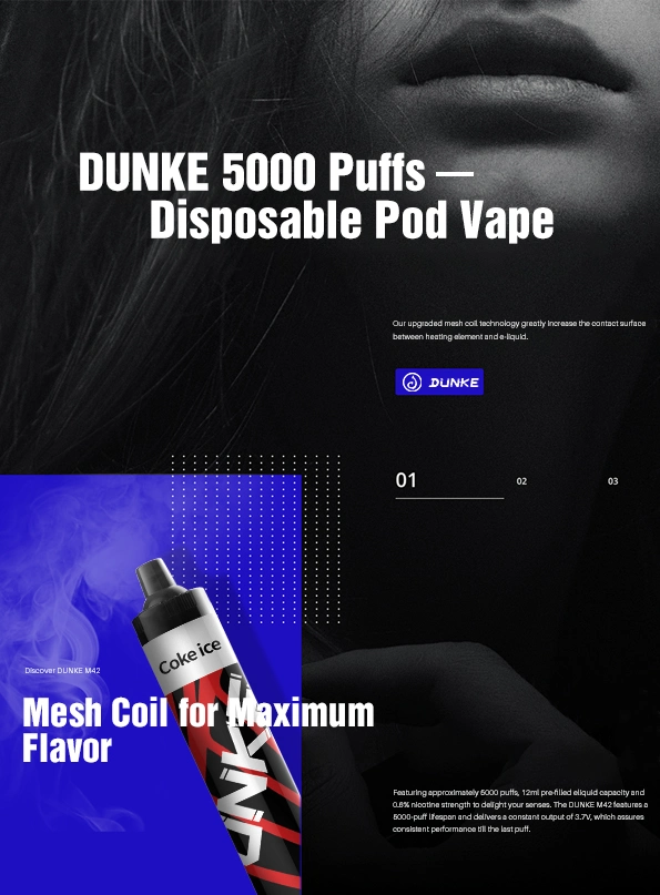 Dunke 2022 New Arrival Factory Wholesale/Supplier 5000 Puffs 12ml E Liquid Einweg-Vape Bar E Cigarette Vaporizador Desechable Disposable/Chargeable Vape Pen Pod E Zigaretten Smok