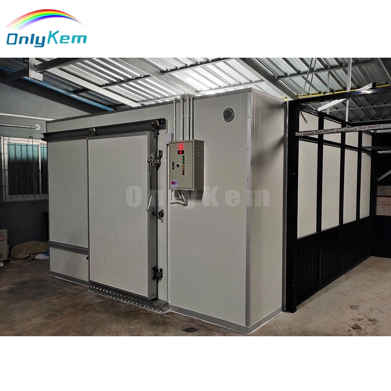 600 Square Meter Freezer Cold Room Storage for Vegetable Fruit Seafood