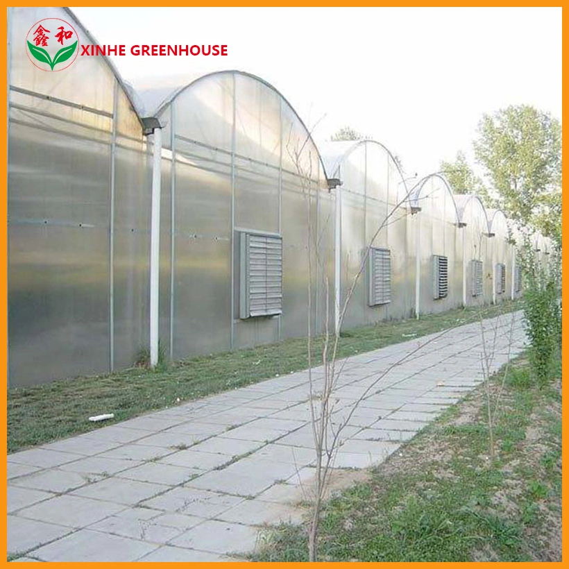 Good Price Customized Production Garden Plastic Film Greenhouse